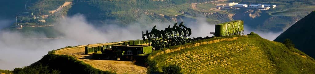 will sudoku make you smarter
